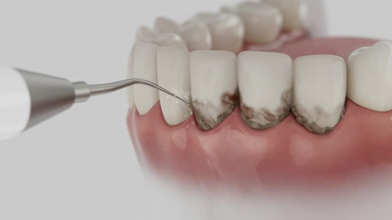 Reliable Dental contractor in Lewisburg, TN by Dentist Open Now